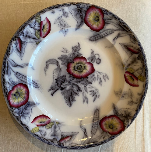 set of 10 Davenport Dinner Plates